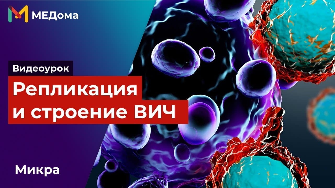 Вирус иммунодефицита человека